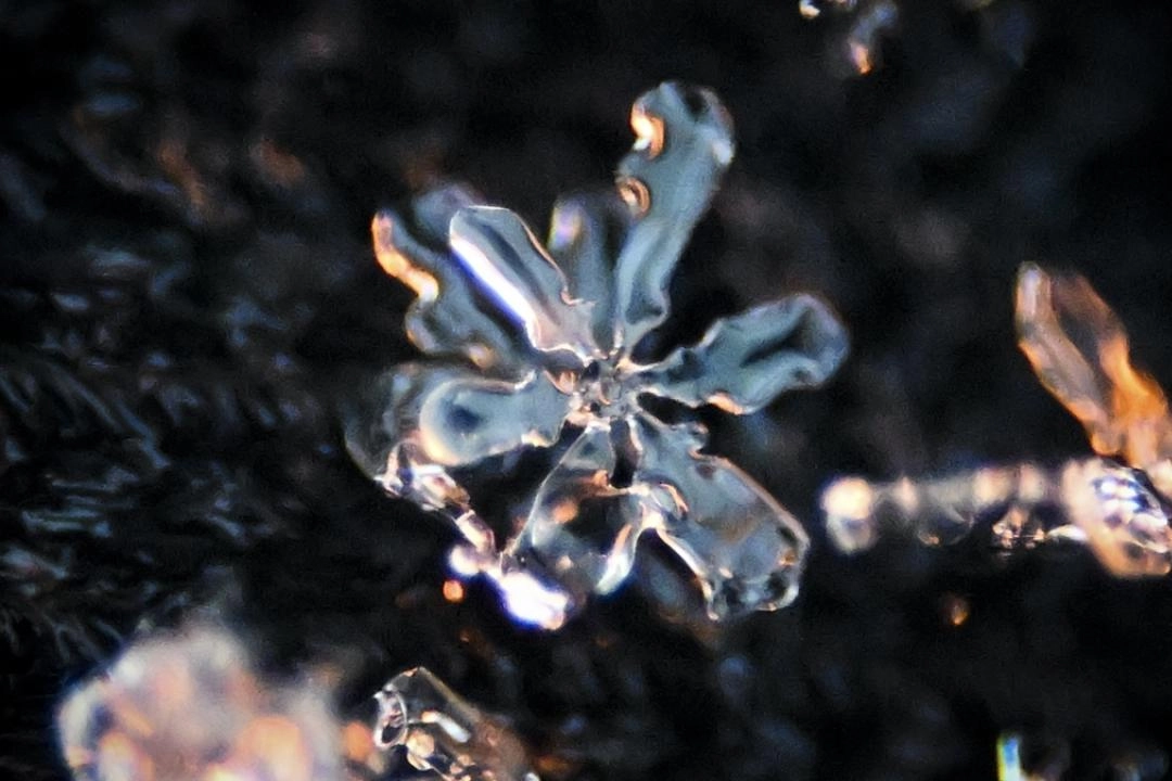 Kar tanelerinin kristal yapıları