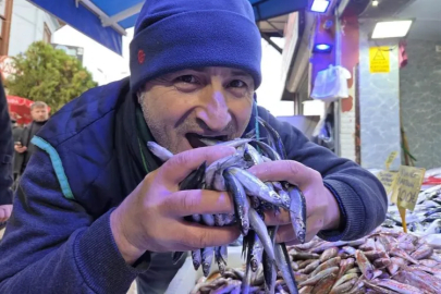 Türkiye'yi terk eden hamsinin yolu gözleniyor