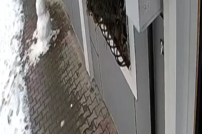 Çocukların kardan adamını çaldı!