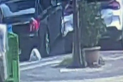 Suikast anları kameraya böyle yansıdı!