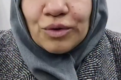 Sazan sarmalı bir ailenin hayallerini yıktı!