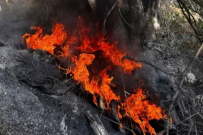 Bursa'da kışın ortasında  yangın!