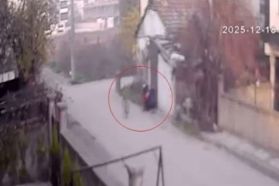 Bursa'da bebek arabasından milyonluk altınları çaldı!