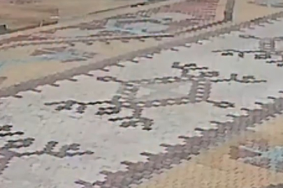 Başıboş köpek saldırısı!