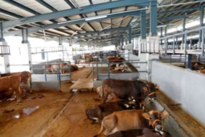 Bursa'yı sarsan hastalık sonrası bir ilk!