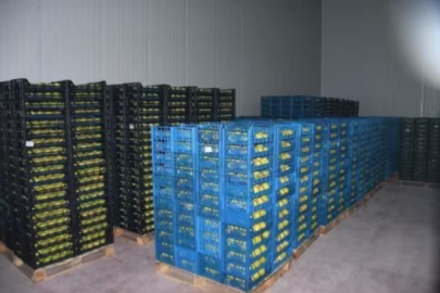 Ferhat Erol'dan üreticilere müjde!  400 milyon liralık dev tesis