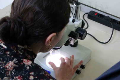 Kolorektal kanser tedavisi için yeni umut