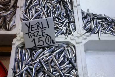 Hamsi bu defa şaşırttı: Tezgahlar yeniden şenlendi