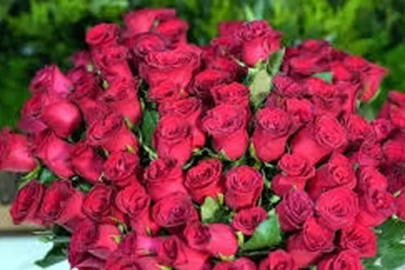 Bu 14 Şubat’ta “Seni Seviyorum” ithal gülle denilecek