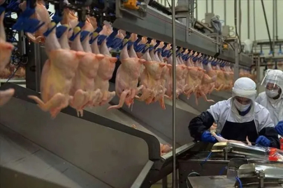 Sofraların gözdesi tavuk etinde üretim rekoru: Aralık’ta büyük sıçrama