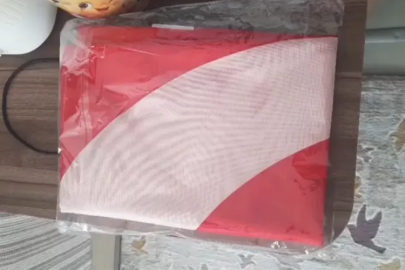 Bursa’da tüyleri diken diken eden görüntü!