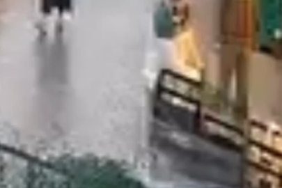 Kadın çalışanlara rağmen palet çaldı!