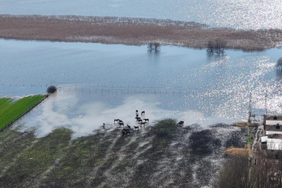 Bursa'da milyonlar sular altında kaldı!