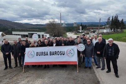 Bursa Orhaneli Termik Santrali için kritik tespit!