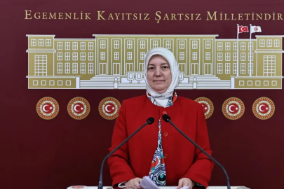 Milletvekili Gözgeç: "Darbeler ve vesayetle netice alma devri kapanmıştır"