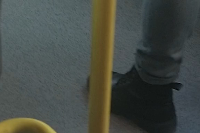 Metrobüste köpek koltukta oturdu! Tartışması çok oldu...