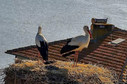 Bursa'da beklenen buluşma gerçekleşti