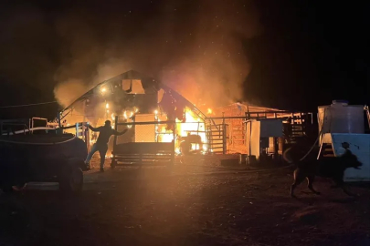 Bursa'da çiftlik yangını: 580 kanatlı hayvan telef oldu!