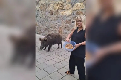 Safiye Soyman'dan korkusuzca hareket! Kapısına gelen "Davetsiz Misafiri" elleriyle besledi