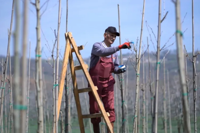 Kestel’de bahar temizliği: İlçe baştan aşağı yenileniyor!