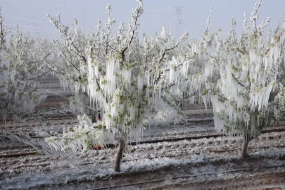 Bursa Valiliği'nden son dakika uyarısı!
