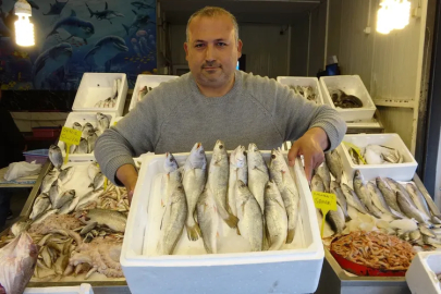 Akdeniz'de av yasağı başlıyor