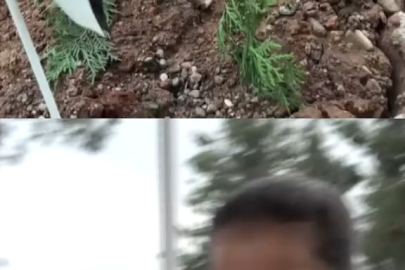 Mezarlıkta duygulandıran anlar!