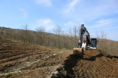 Nilüfer'de dağ taş bereketlendi: 400 fidan toprakla buluştu!