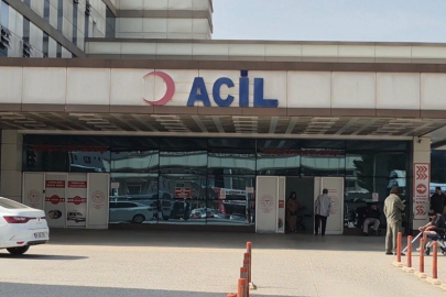 Baharla birlikte gelen kabus!