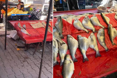 Pazarda kilosu 50 TL'ye satılıyor! Gıda mühendisi uyardı: Sakın almayın