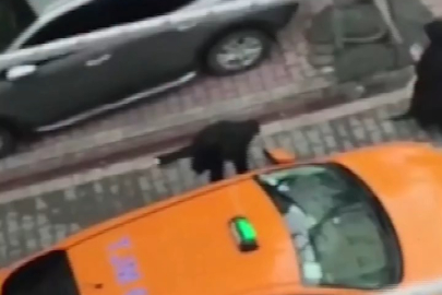 Düğün konvoyunda ortalık karıştı!