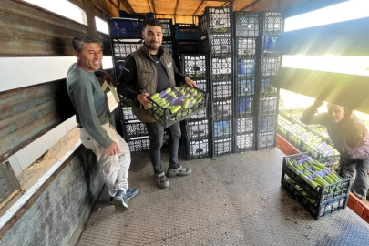 Bursa'da yazın ilk hasadı başladı!