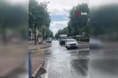İzmir’de 33 kedinin ölümüyle ilgili yeni gelişme! Veteriner hekim tutuklandı