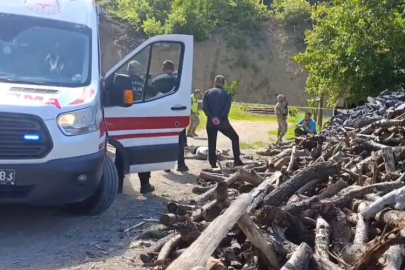 Kan donduran vahşet!