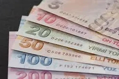 TL'nin reel değeri mayısta sınırlı geriledi