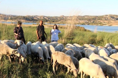Doğada çalıştı, Okulda zirve yaptı