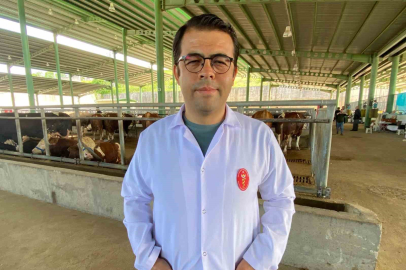 Kene tehdidine dikkat: 200’den fazla hastalık etkeni taşıyabiliyor