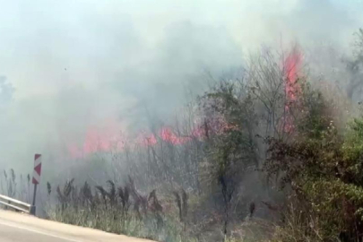 Bursa’da Karacabey Yolu alevlere teslim! Yoğun duman trafiği felç etti