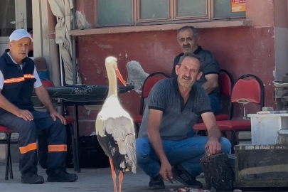 Bursa'da yeni bir yaren hikayesi: Bu kez köy kahvesinde!