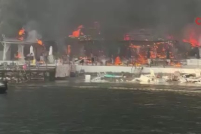 Büyükada'da korkutan yangın!