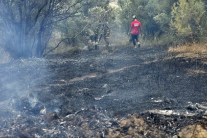 Mudanya'da bağ evinde çıkan yangın zeytinliğe sıçradı! 4 dönümlük alan zarar gördü