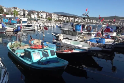 Marmara'nın emektar balıkçıları, müsilaj ve bilinçsiz avlanmadan şikayetçi