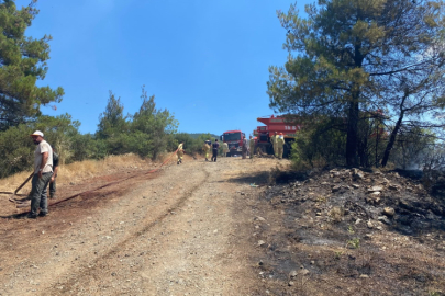 Bursa'da orman yangını söndürüldü! Çıkış nedeni araştırılıyor