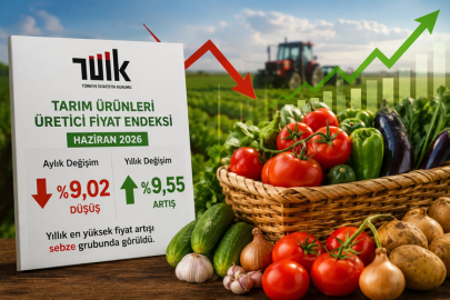 TÜİK tarım ürünleri ÜFE oranlarını açıkladı!