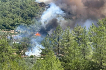 Türkiye'nin dört ilinde orman yangını! Antalya'da yangın yerleşim yerine ulaştı!