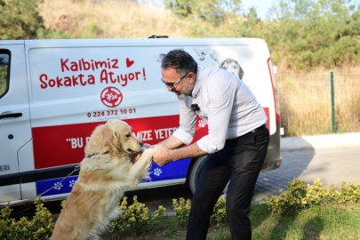 Kestel’de can dostları için dijital sahiplenme dönemi!