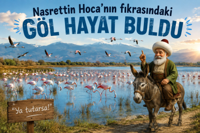 Flamingolar geri döndü!