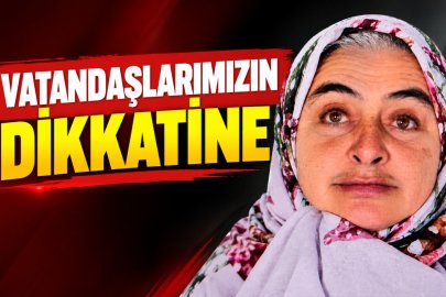 Bursa’da kayıp Fatma Aybey için seferberlik!